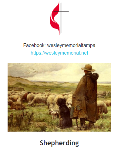 Shepherding Newsletter Logo