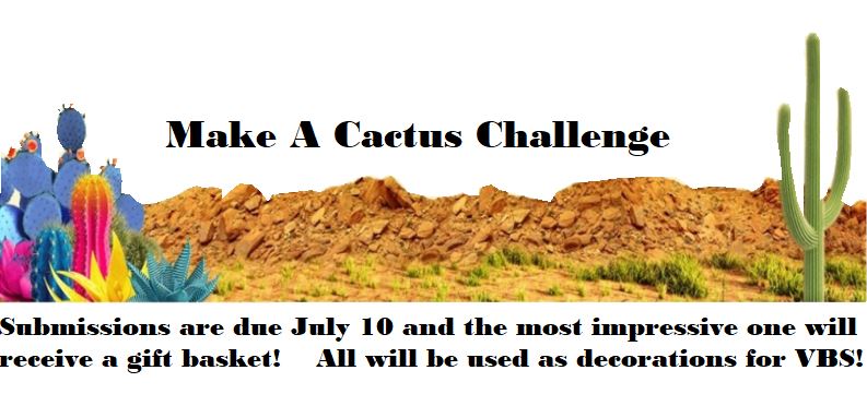 Cactus challenge