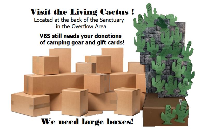 Living Cactus and boxes