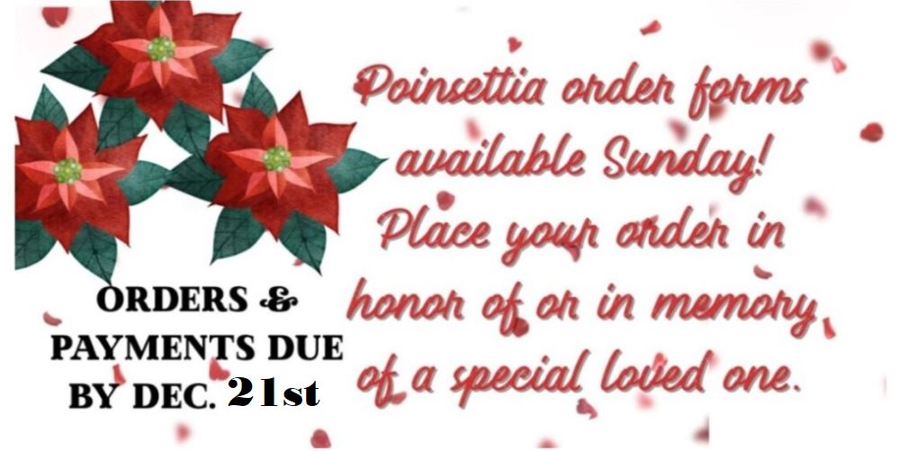 Poinsetta orders
