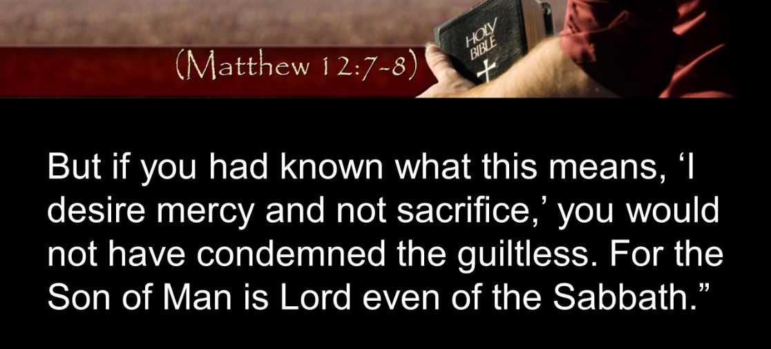 Matthew 12. 7 and 8