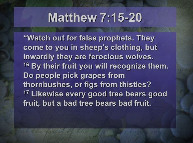 Matthew 7. 15 20